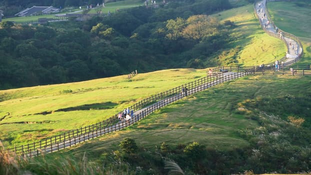 Qingtiangang, Taiwan-Oct 15, 2021: The natural source of alpine grasses is at Shangshan in Taipei City, Taipei City, Taiwan