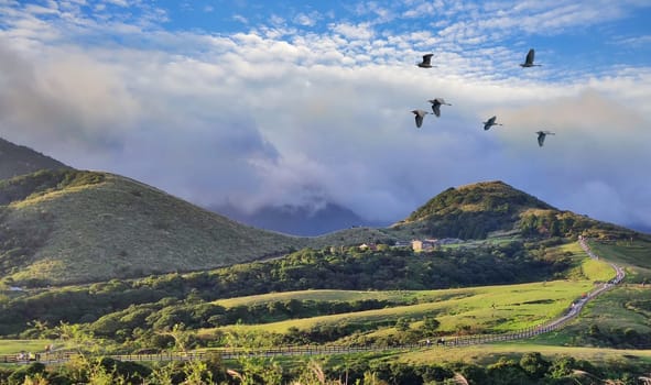 Qingtiangang, Taiwan-Oct 15, 2021: The natural source of alpine grasses is at Shangshan in Taipei City, Taipei City, Taiwan
