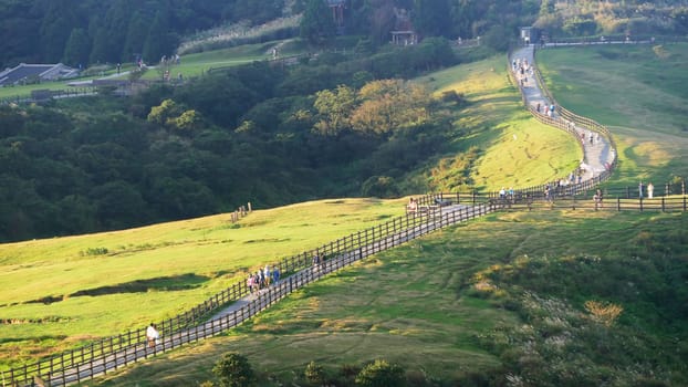 Qingtiangang, Taiwan-Oct 15, 2021: The natural source of alpine grasses is at Shangshan in Taipei City, Taipei City, Taiwan