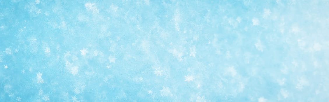 Snowy background with closeup panoramic view of the crystal snowflakes. Concept of the wallpaper, background and backdrop.