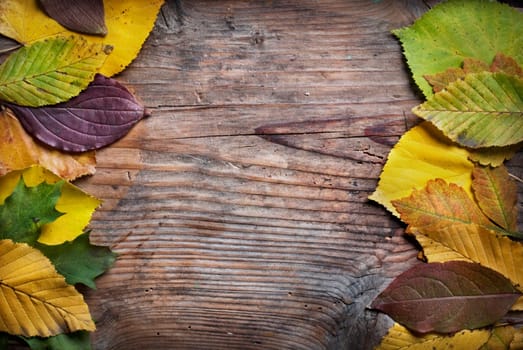 Autumn leaves on grunge wooden background