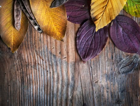 Autumn leaves on grunge wooden background