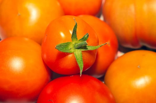 Tomatoes background. organic vegetables. healthy food vegetarian nutrition