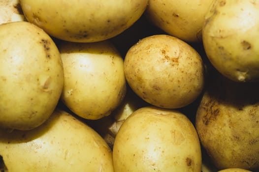 Fresh young potatoes. raw vegetables. healthy nutrition. vegetarian food