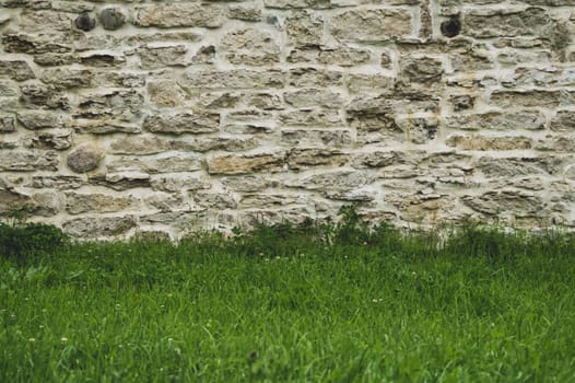 Brick wall and green grass. stone wall background. old masonry