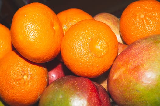 Mango and mandarins. natural looking fruits