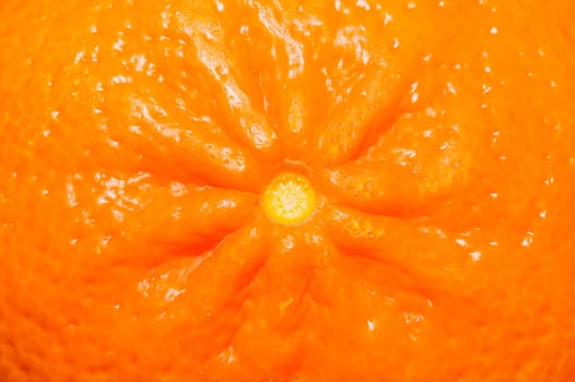 Mandarin peel macro texture. surface of orange fruit. citrus background
