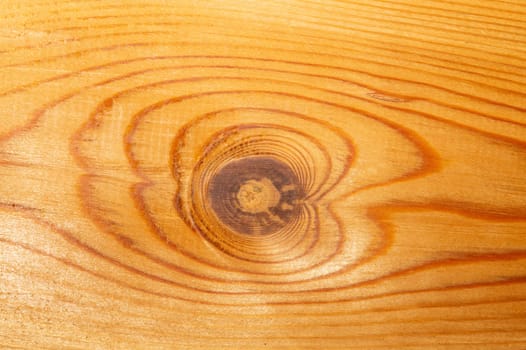 Old wood texture. wooden background