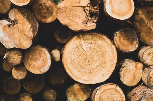 Stack of logs. natural wooden background with timber. log wall. pile of timber