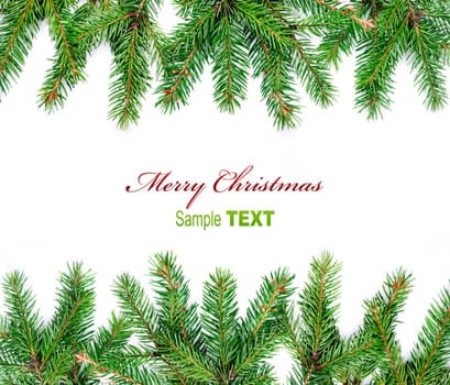 Fir branches frame isolated on white background