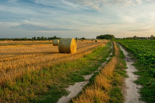 Dirt road and hay bales in the field, rural evening view, Czulczyce, Lubelskie, Poland