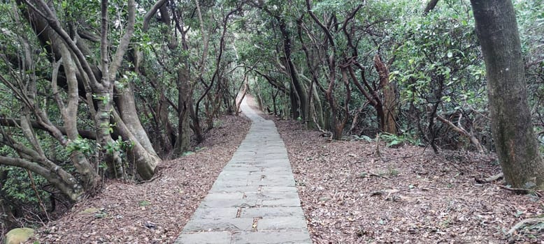 The Taipingling Sea View Trail, New Taipei City Oct 18, 2021, Taiwan