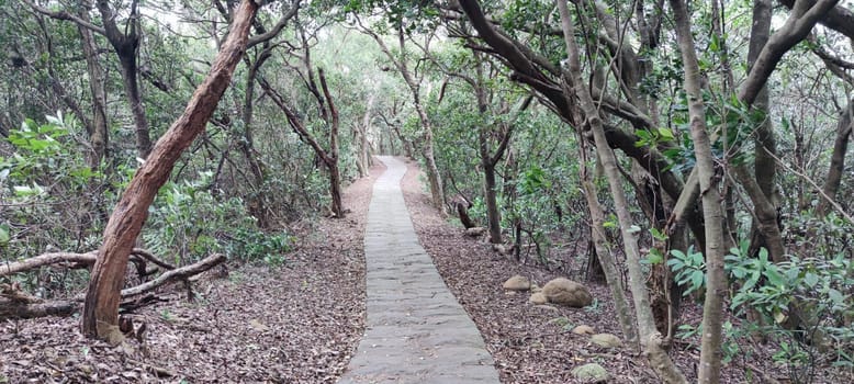 The Taipingling Sea View Trail, New Taipei City Oct 18, 2021, Taiwan