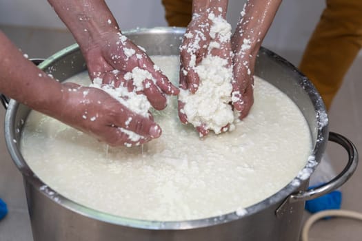 Cheese making process in a workshop. Hands making cheese, close up
