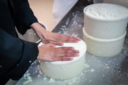 Cheese making process in a workshop. Hands making cheese, close up