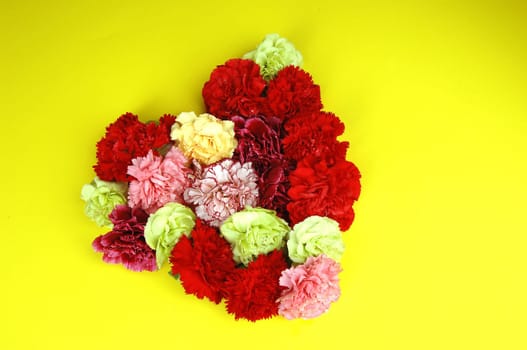 flower arrangements, clove