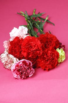 flower arrangements, clove
