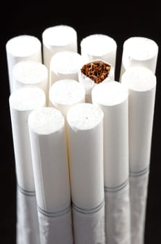 different types of cigarettes on a white background