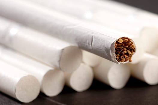 different types of cigarettes on a white background