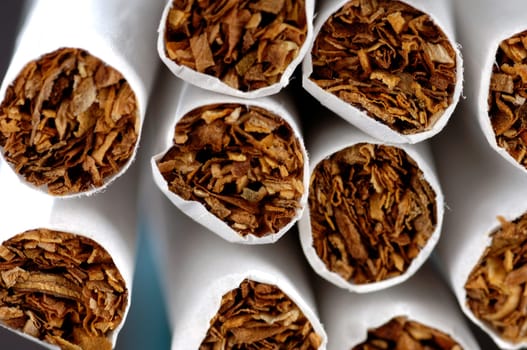 different types of cigarettes on a white background