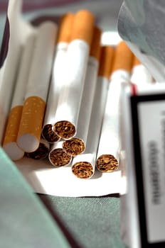 different types of cigarettes on a white background