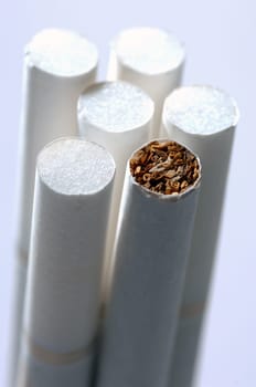 different types of cigarettes on a white background