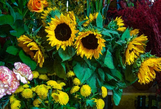 flower photos, compositions.