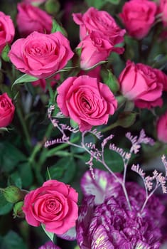 flower photos, compositions.