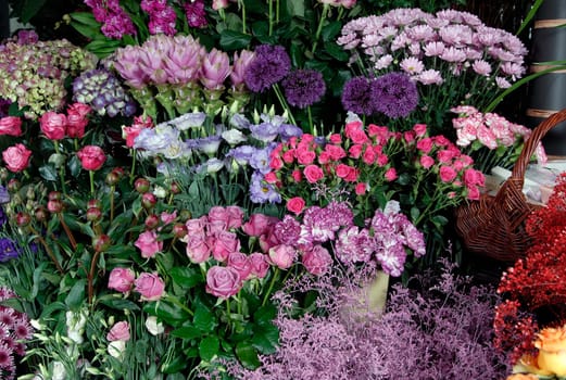 flower photos, compositions.