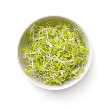 Fresh broccoli sprouts in white bowl isolated on white background. View from above