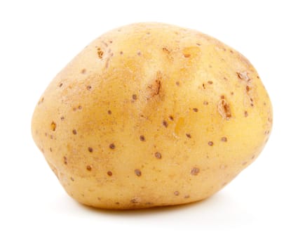 Potato isolated on white background. Top view