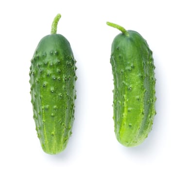 Two fresh green cucumbers isolated on white background. Top view
