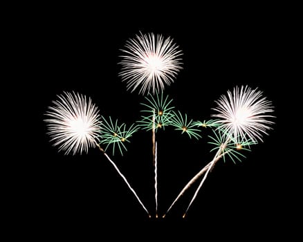 Colorful fireworks exploding on black sky. Celebration and anniversary concept.
