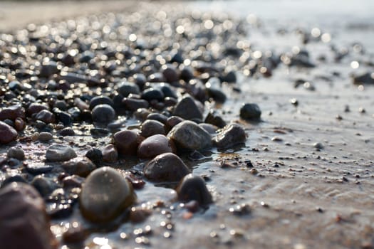 Pebbles on the beach of the Polish Baltic Sea coast near Kolobrzeg at sunset in backlight