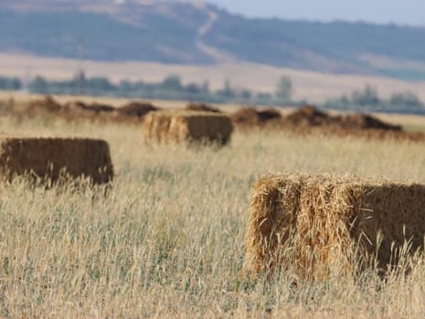 beautiful plateau field Spain harvests straw bales summer heat