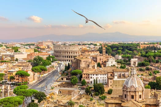 A seagull flies by the Forum, Capitoline Hill, Coliseum, Rome, Italy.