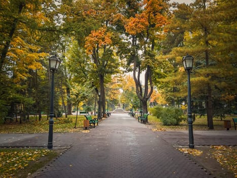 Rainy autumn season morning in the empty city park. Beautiful view and silence, colorful leaves fallen on the ground and alleys of Stephen III The Great square in Chisinau, Moldova.