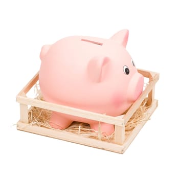 Piggy bank in small wooden corral, isolated on white.