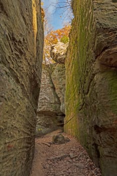 Narrow Pathway in a Sandstone Canyon in Giant City State Park in Illinois