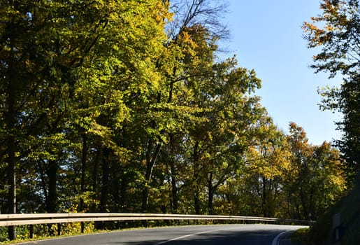 road with brightly colored trees