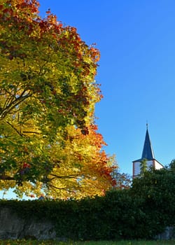 colorful deciduous tree in front of church