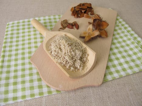 Homemade beechnuts flour, ground beechwoods on a wooden spoon