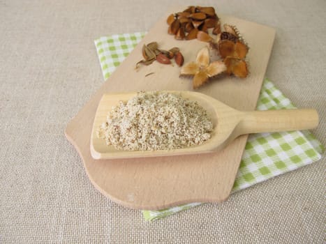 Homemade beechnuts flour, ground beechwoods on a wooden spoon