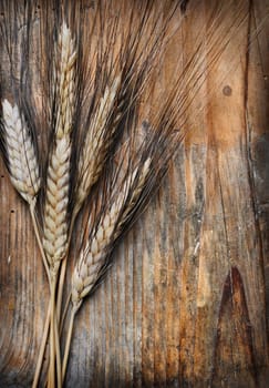 .Wheat ears on an old wooden plank