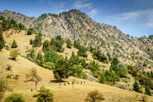 A group of tourists on a trail in Shirkent National Park in Tajikistan