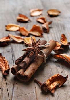 Cinnamon and anise seed on wooden plank