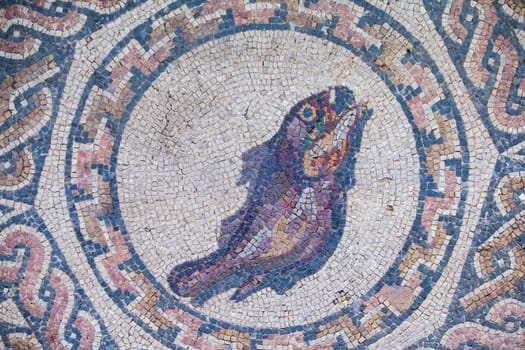 Merida, Spain - Dec 12th, 2020: Fish mosaic. Amphitheatre House of Merida. Extremadura, Spain