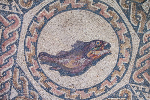 Merida, Spain - Dec 12th, 2020: Fish mosaic. Amphitheatre House of Merida. Extremadura, Spain