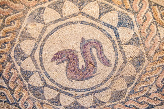 Merida, Spain - Dec 12th, 2020: Eel mosaic. Amphitheatre House of Merida. Extremadura, Spain