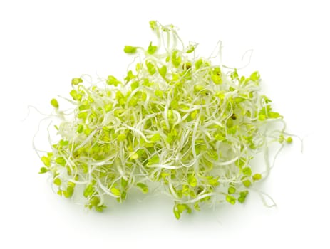 Broccoli sprouts isolated on white background. View from above
